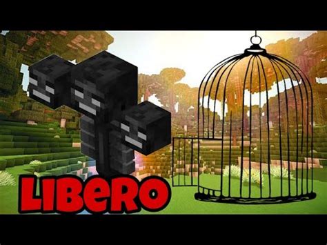 Ho Liberato Un Wither Nel Mio Mondo Di Minecraft Youtube