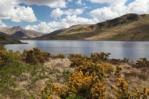 Connemara & National Park Day Tour | Hekla.com