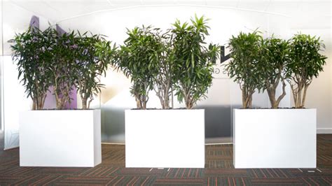 A word about Greenwashing - Green Team Interiors