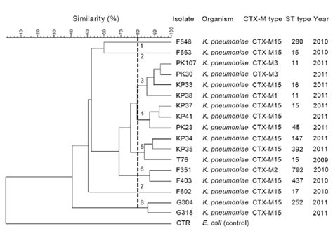 Dendrogram Of Pulsed Field Gel Electrophoresis Pfge Patterns Showing