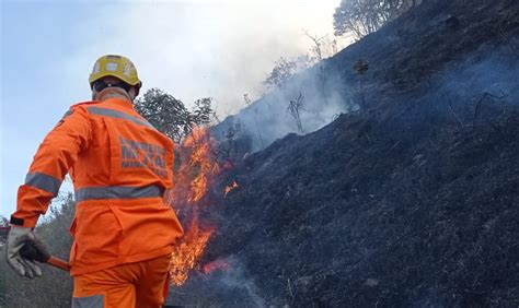 Inc Ndio Destr I Hectares De Vegeta O Em Bairro De Po Os De Caldas