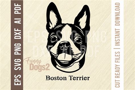 Boston Terrier Funny Dog Svg Stencil Graphic By Signreadydclipart