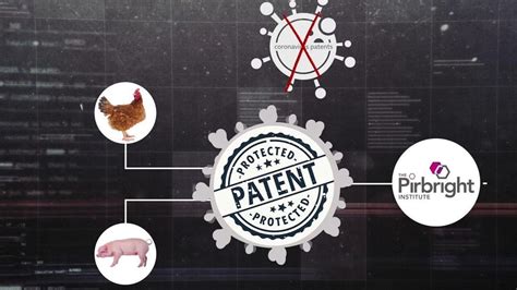 How Does Herd Immunity Work BBC Reel