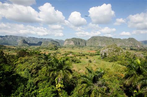 Viñales, Cuba - Go Curry Cracker!