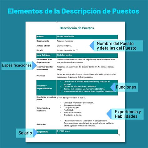 Formato Descripcion Y Perfil De Puestos Y Formato Ev Organigrama The