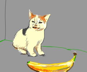 Detailed cat making face at banana (meme) - Drawception