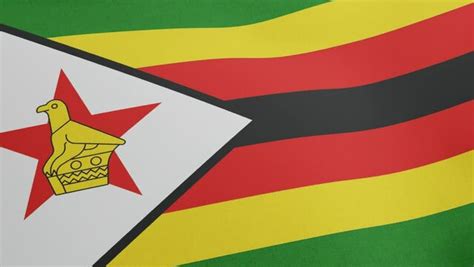 "Zimbabwe Bird" Images – Browse 126 Stock Photos, Vectors, and Video ...