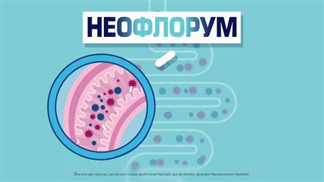 Неофлорум - YouTube