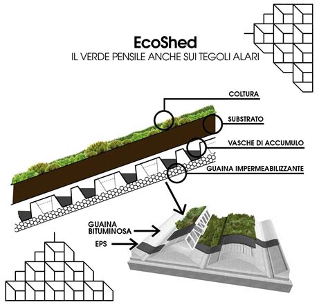 tetti verdi  edifici prefabbricati  ca una soluzione