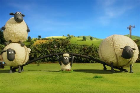 Shaun The Sheep Watch The Shaun The Sheep Championsheeps Videos On