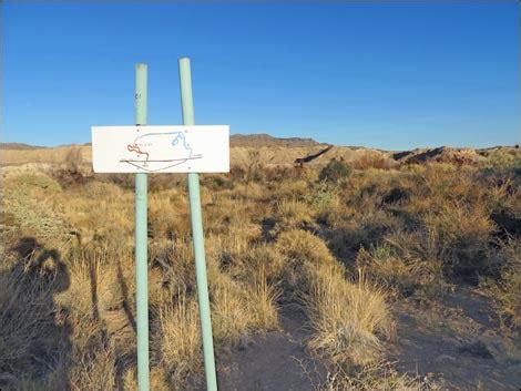 Birding Around Las Vegas Shoshone Aqua Birding Trail