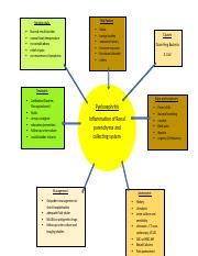 Concept Map Uti Docx Risk Factors Nursing Goals Normal Renal Function