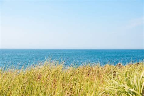 Jejudo Day Horizon Over Water Water Korea Grass Clear Sky Jeju Island Sea Land Marram