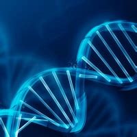 DottNet Tumori Ecco Come Le Radiazioni Danneggiano Il Dna