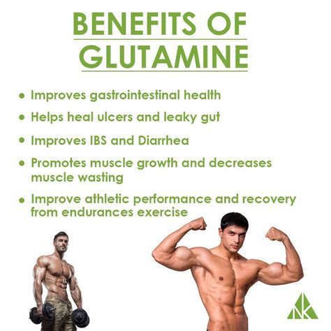 L Glutamine For Workout Recovery At Aisha Villasenor Blog