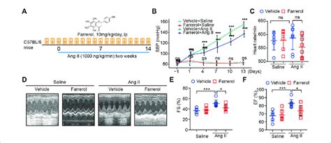 Farrerol Inhibits Ang II Induced Hypertension And Cardiac Dysfunction