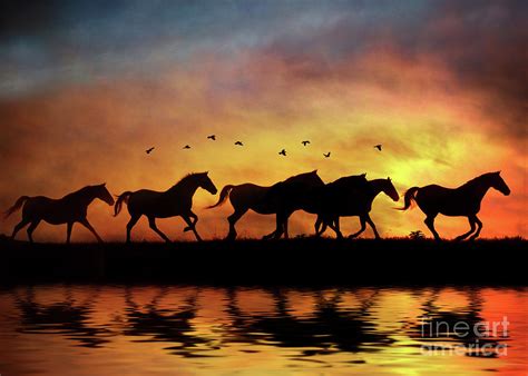 Wild Horses in Sunset and Water Photograph by Stephanie Laird - Fine ...