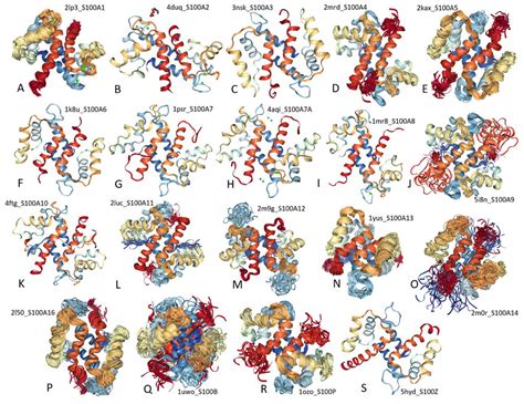 Structural Characterization Of Human S100 Proteins Solution Nmr Download Scientific Diagram