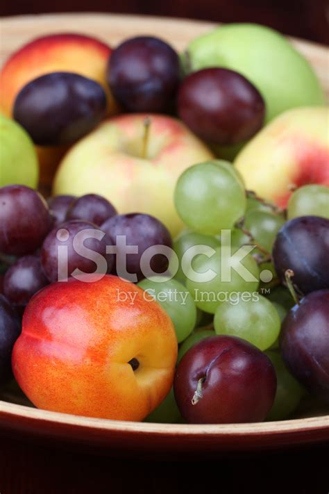 Exotic Fruit Bowl Stock Photo Royalty Free Freeimages