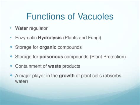 PPT - Vacuoles PowerPoint Presentation, free download - ID:2465716