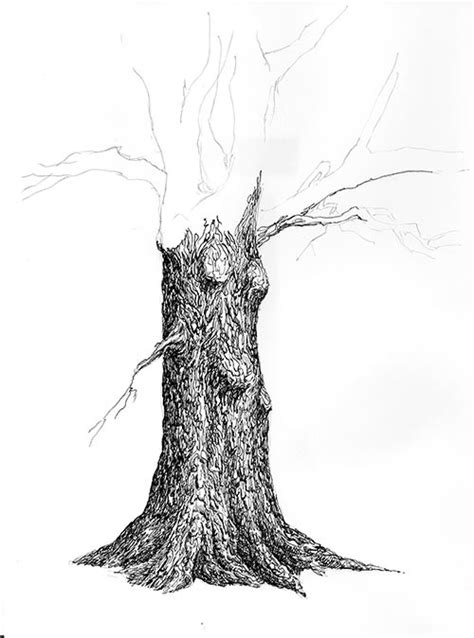 pen and ink tree drawings - Ayala Movered1957