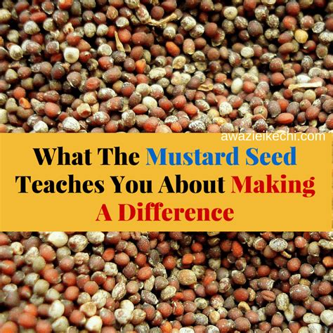 What The Mustard Seed Teaches You About Making A Difference Be A