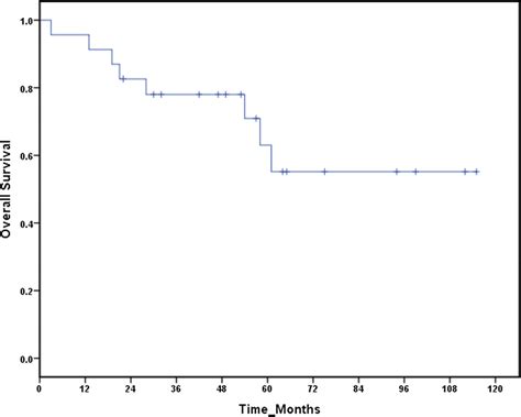 Kaplan Meier Estimate Of Overall Survival Os Download Scientific