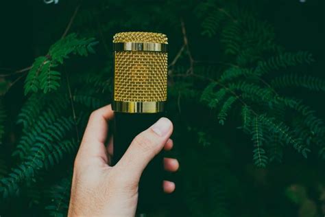 6 Best Microphone For Recording Nature 2022 | A Young Music