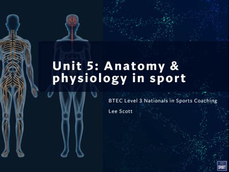 Unit Anatomy Physiology In Sport Teaching Resources