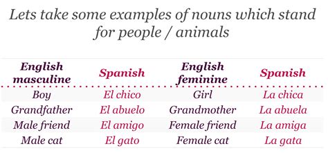 Spanish Masculine And Feminine Nouns