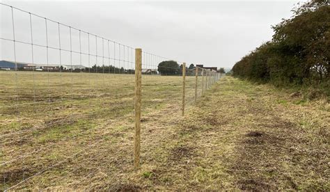 Agricultural Fencing Thompson S Fencing Nationwide Fencing