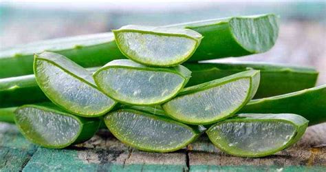 Los Increíbles Beneficios Internos Del Aloe Vera Biosalud