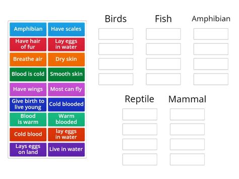 Characteristics of Vertebrates - Group sort