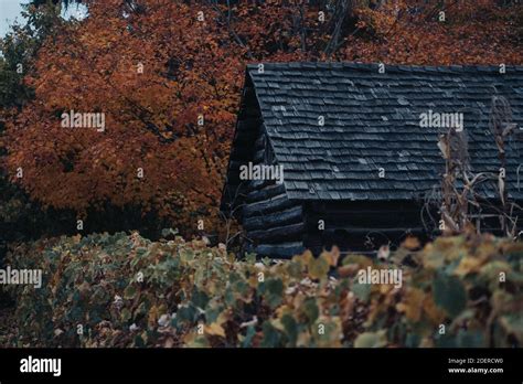 All original pictures Stock Photo - Alamy