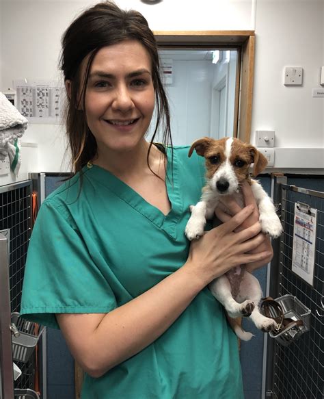 Guardian angel vet thornton care is changing the lives of local pets 1