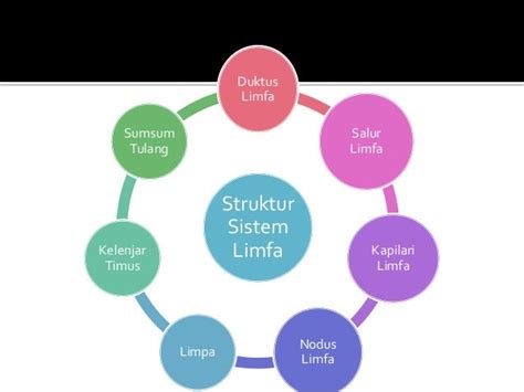 Sistem limfa