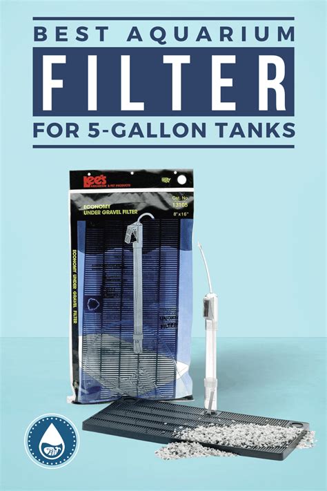 Best 5 Gallon Aquarium Filter - Top Brands To Choose From