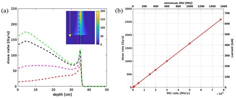 Cancers Free Full Text Quantitative Assessment Of 3d Dose Rate For Proton Pencil Beam