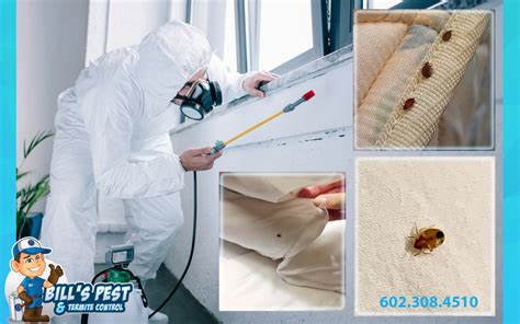 Bed Bug Extermination Responsibility In Arizona Ars