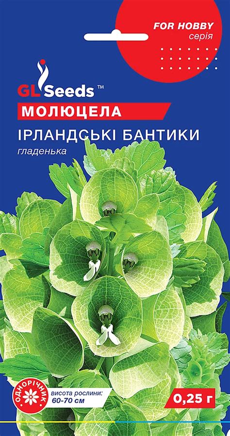 Молюцела - Yes!Огород — все для сада и огорода