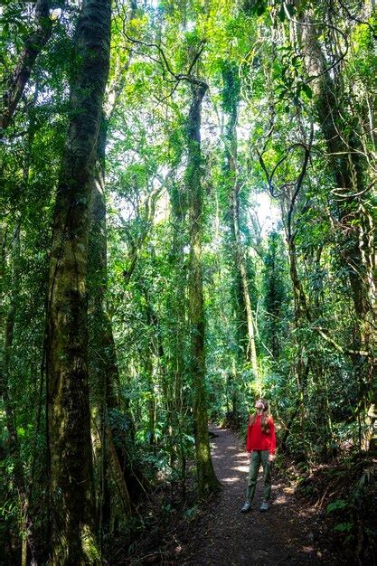 Una Hermosa Ni A Camina A Trav S De Una M Gica Selva Tropical En El