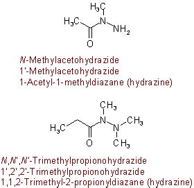 Amide Examples