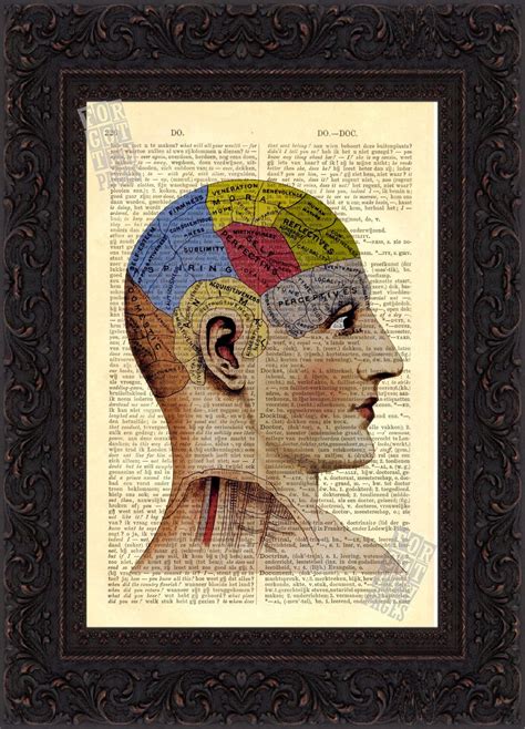 Antique Phrenology Head Anatomical Colour Print On Upcycled Etsy Art Phrenology Colorful