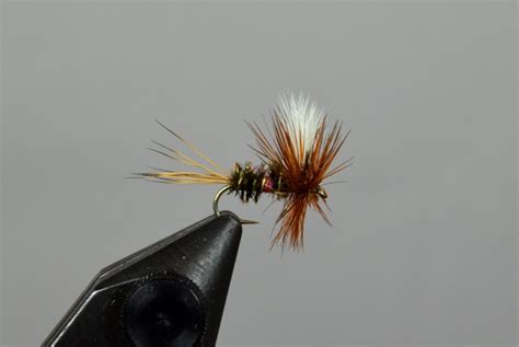 royal wulff galloups  inn dry flies attractors