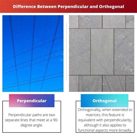 Perpendicular Vs Orthogonal Difference And Comparison