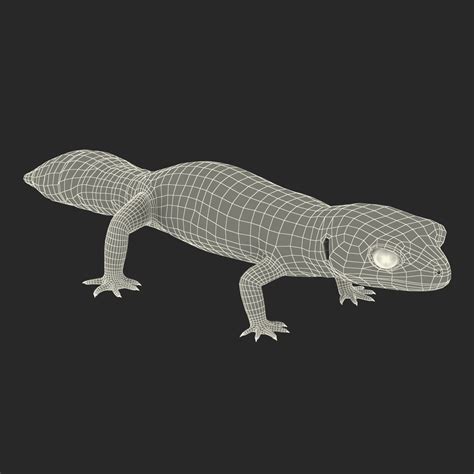 Leopard Gecko 3d Model