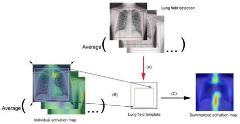 Jcm Free Full Text Using Deep Neural Networks For Predicting Age