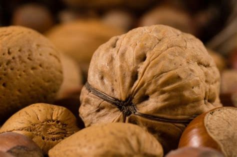 Los Beneficios De Consumir Nueces Para La Salud