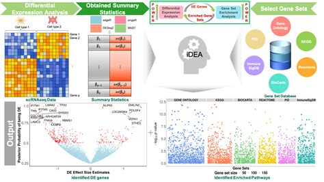 Idea Integrative Differential Expression And Gene Set Enrichment