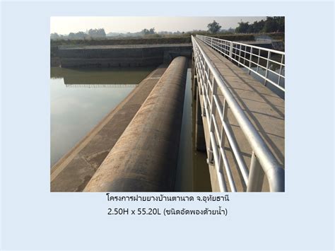 RUBBER DAM : PORTFOLIO